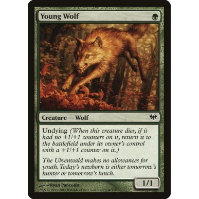 Young Wolf