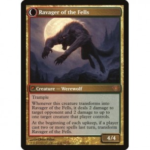 Capocaccia delle Colline //... 2