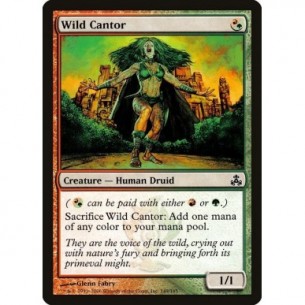 Wild Cantor