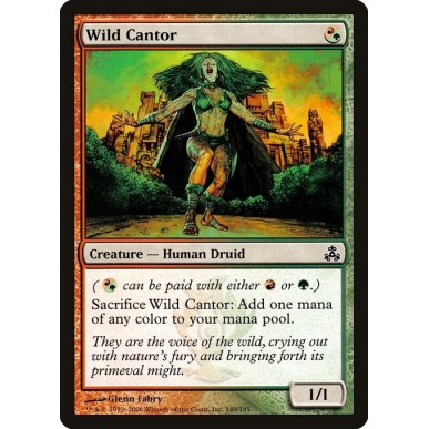 Wild Cantor
