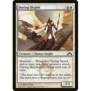 Skyjek Audace