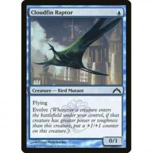 Raptor Pinnanube