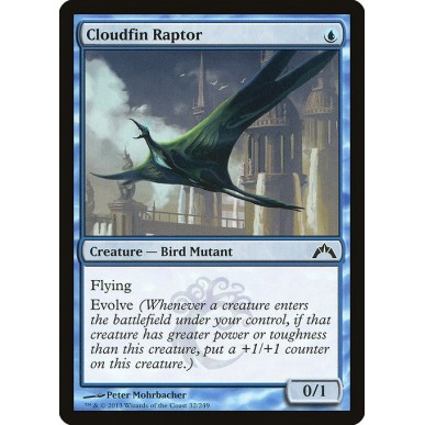 Raptor Pinnanube