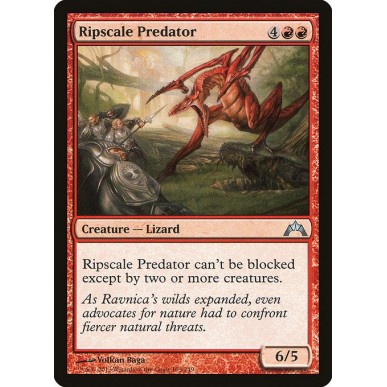 Predatore Strappascaglia