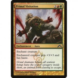 Visita Primordiale