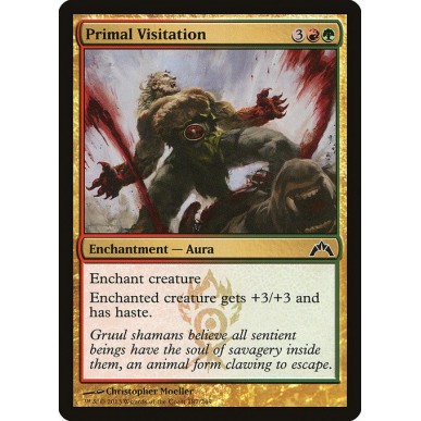 Visita Primordiale