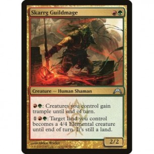 Mago della Gilda di Skarrg