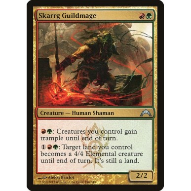 Mago della Gilda di Skarrg