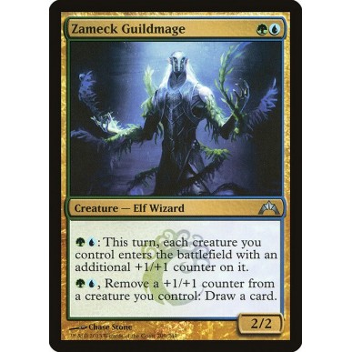 Mago della Gilda di Zameck