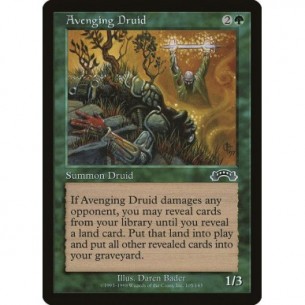 Druido Vendicatore