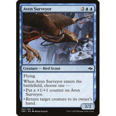 Aven Surveyor