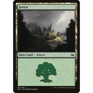 Foresta