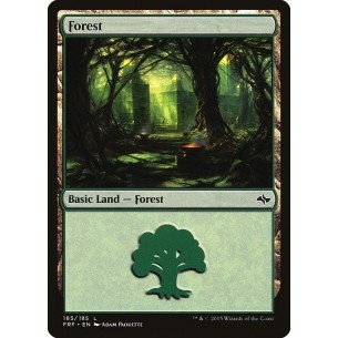 Foresta