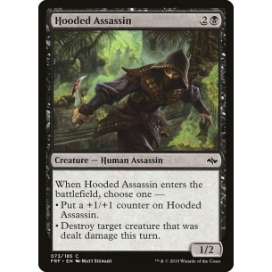 Assassina Incappucciata