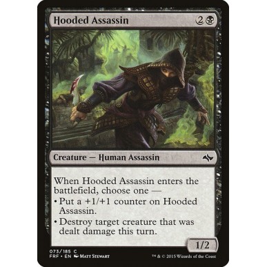Hooded Assassin
