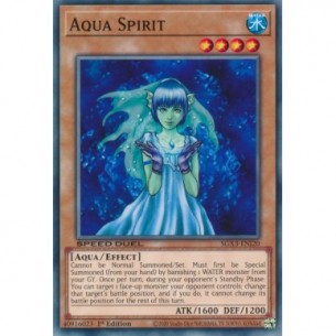 Aqua Spirit