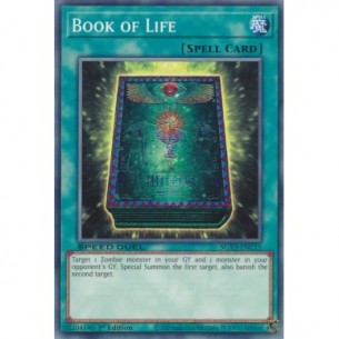 Libro della Vita