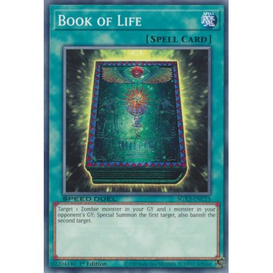 Libro della Vita