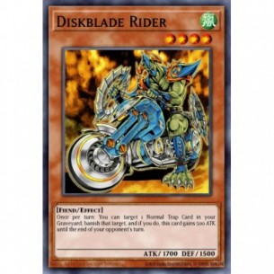 Diskblade Rider