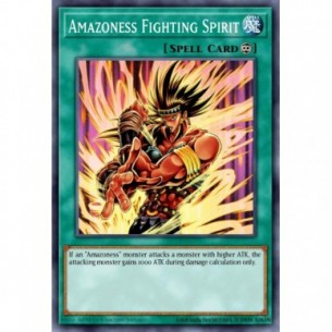 Spirito Combattente Amazoness
