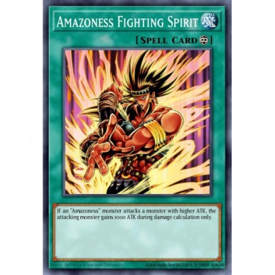 Spirito Combattente Amazoness
