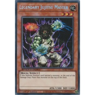 Maestro Leggendario Jujitsu...
