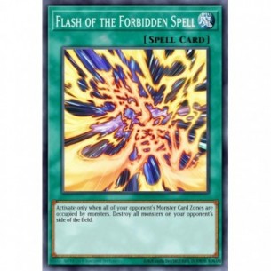 Flash of the Forbidden Spell