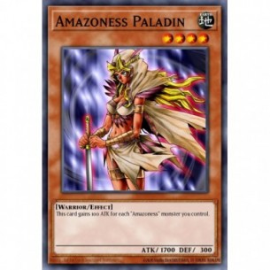 Amazoness Paladin