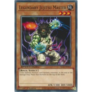 Maestro Leggendario Jujitsu...
