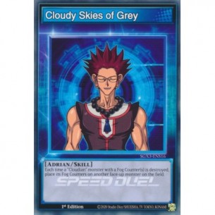 Cloudy Skies of Grey