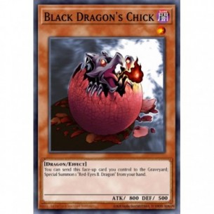 Black Dragon's Chick