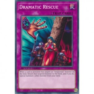 Salvataggio Drammatico
