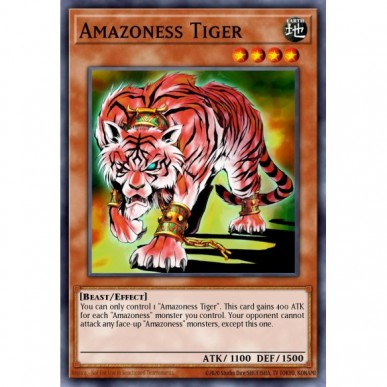 Amazoness Tiger