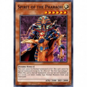 Spirit of the Pharaoh