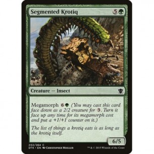 Krotiq Segmentato