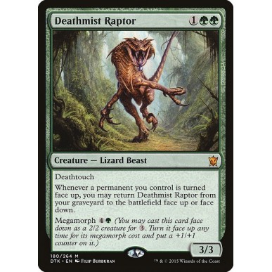 Raptor della Foschia Letale