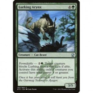 Arynx in Agguato