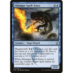 Divoramagie Silumgar