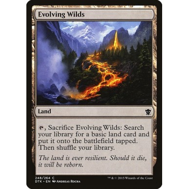 Evolving Wilds