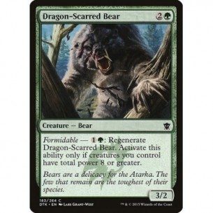 Dragon-Scarred Bear
