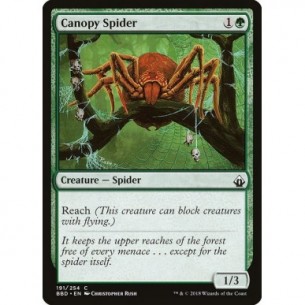 Canopy Spider