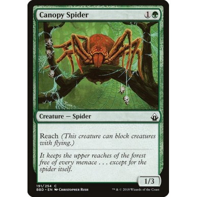 Canopy Spider