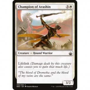 Champion of Arashin