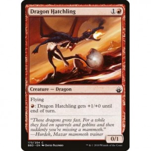 Dragon Hatchling