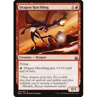 Dragon Hatchling