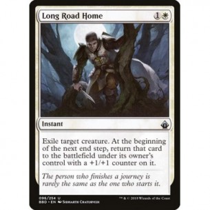 Long Road Home