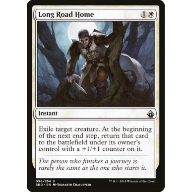 Long Road Home