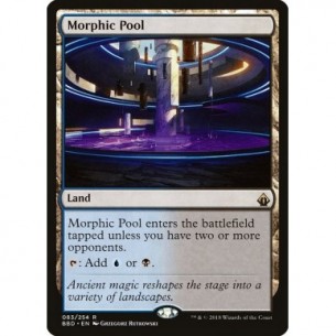 Morphic Pool