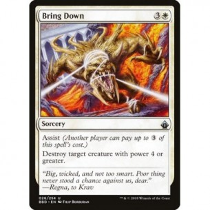 Bring Down