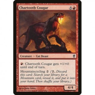 Chartooth Cougar